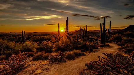 Arizona
