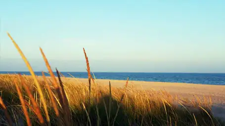 Hamptons