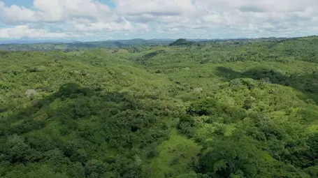 Reserva Ecologica Panamaes