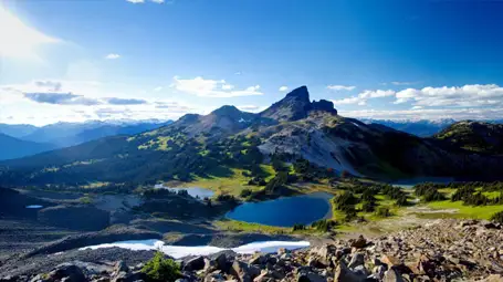 Whistler